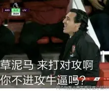 C7娱乐app-关于埃梅里最新消息：维也纳失利不影响阿森纳的信心的信息